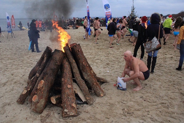 Noworoczna kąpiel morsów