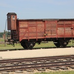 71. rocznica oswobodzenia KL Auschwitz