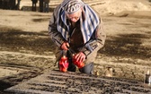 Obchody 70. rocznicy wyzwolenia Auschwitz-Birkenau