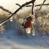 Niska temperatura otoczenia sprzyja odchudzaniu