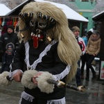 Żywieckie Gody 2015 w obiektywie