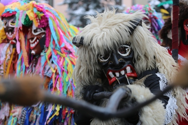 Żywieckie Gody 2015 w obiektywie