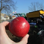 Protest rolników w Krzeszycach