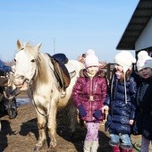 W lutym można korzystać z bezpłatnych warsztatów „Kraina Kucyków” na Budach Grabskich