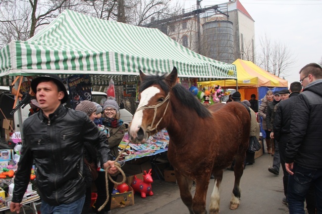 "Wstępy 2015"