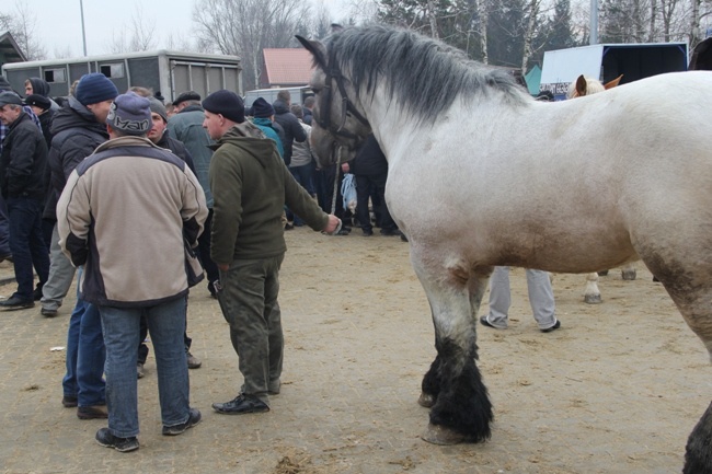 "Wstępy 2015"