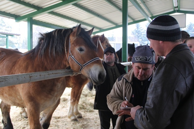 "Wstępy 2015"