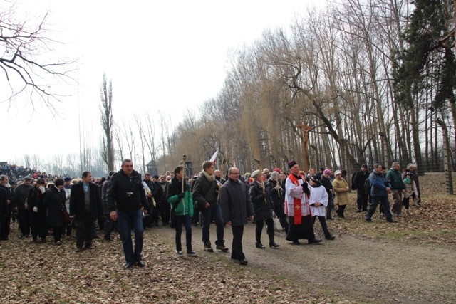 Droga Krzyżowa o trzeźwość narodu w KL Auschwitz-Birkenau