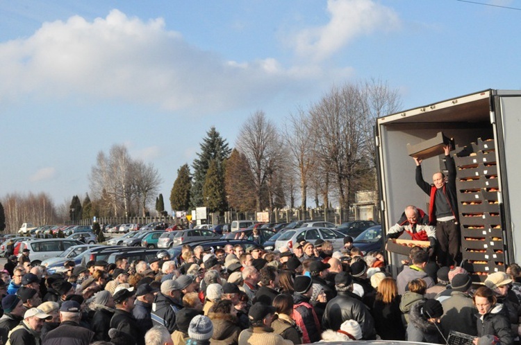 Jabłka w Brzesku