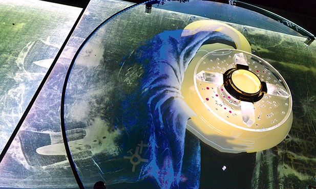 Maryja obleczona w Całun Turyński – niezwykły symbol  Mater Dolorosa