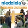 Niedziela 13/2015