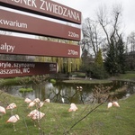 Warszawskie ZOO