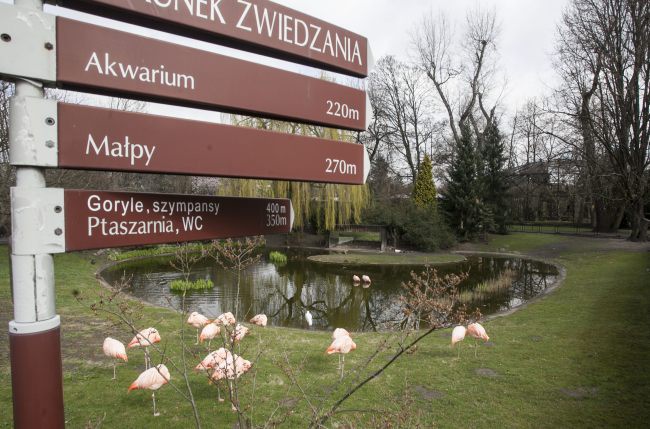 Warszawskie ZOO