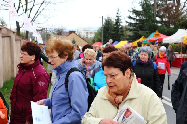 Niedziela Miłosierdzia w Łagiewnikach - 2015. Cz. 2