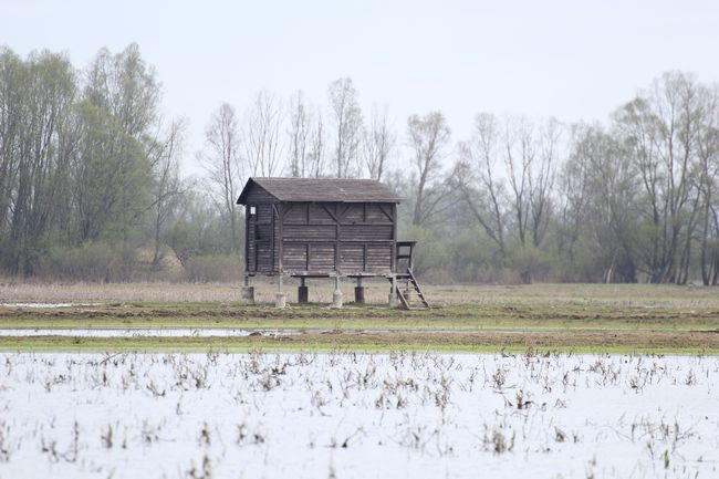 Rezerwat "Ujście Warty"