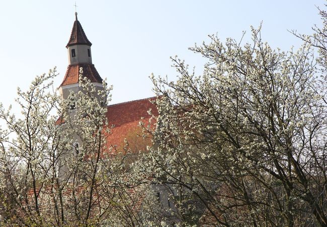 Peregrynacja obrazu Jezusa Miłosiernego w Miłakowie