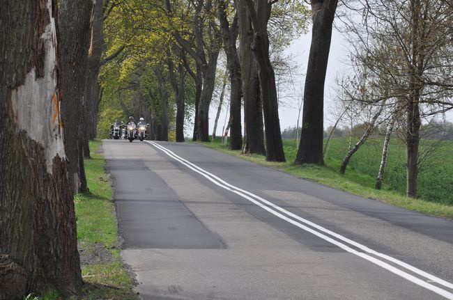 Motocykliści w Suliszewie