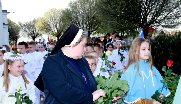 Nawiedzenie w Luszowicach