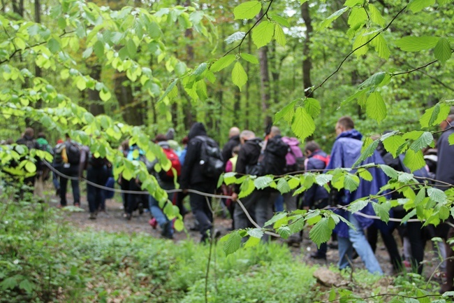 Chwalcie górę umajoną - Majówka na Ślężę