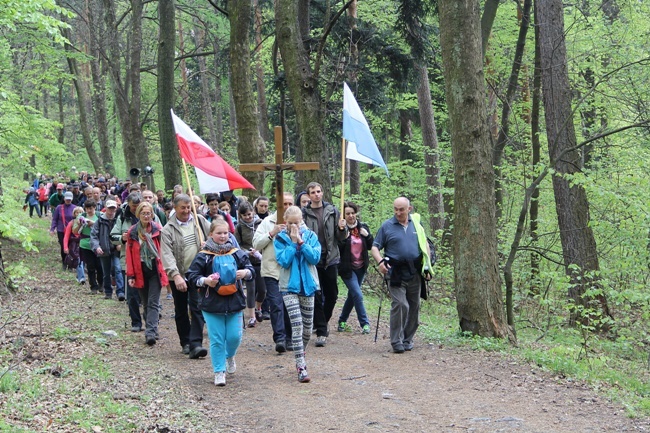 Chwalcie górę umajoną - Majówka na Ślężę