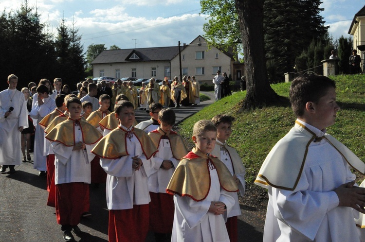 Nawiedzenie w Pleśnej