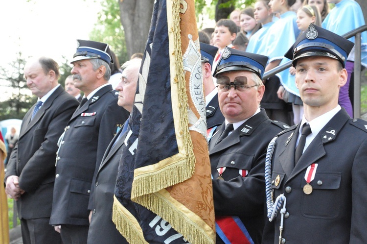 Nawiedzenie w Pleśnej