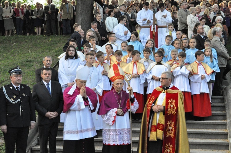 Nawiedzenie w Pleśnej