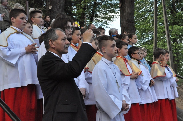 Nawiedzenie w Pleśnej