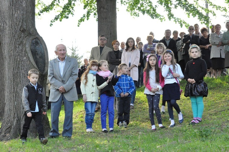 Nawiedzenie w Pleśnej