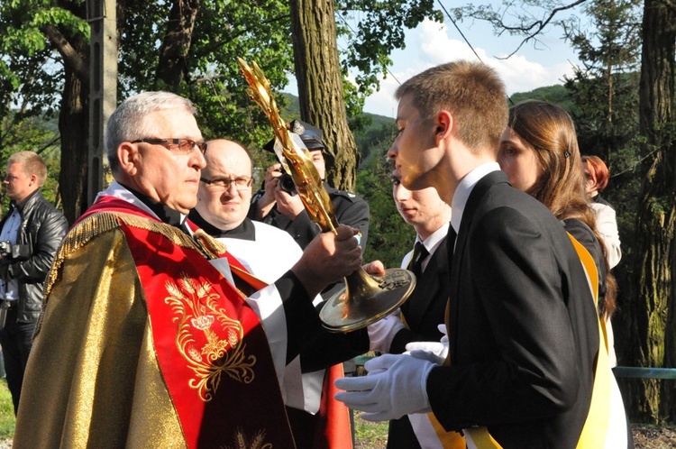 Nawiedzenie w Pleśnej