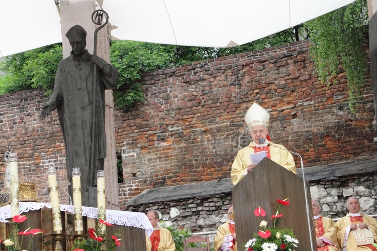 Procesja ku czci św. Stanisława z Wawelu na Skałkę cz. 2