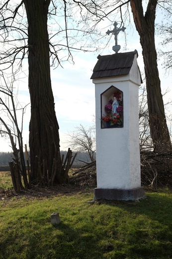 Kapliczki w obiektywie Adama Gryczyńskiego