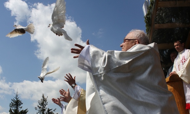 Przed Mszą św. księża wypuściili stado gołębi