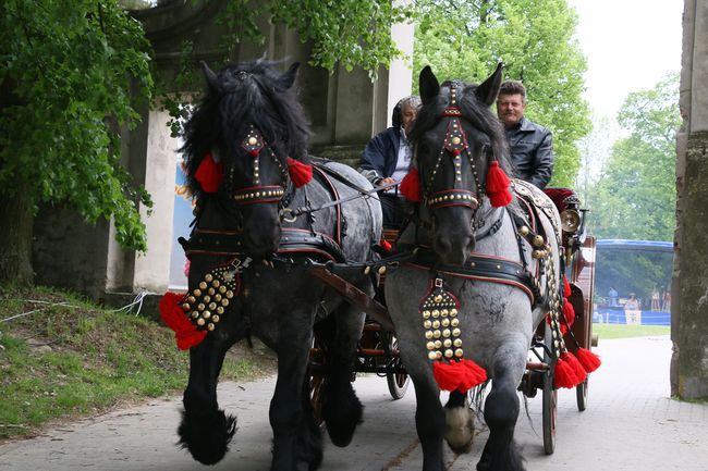 Historyczna majówka