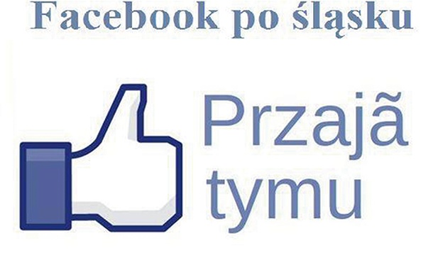  Śląski Facebook. Lubię to?