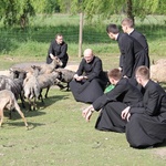 Znam owce moje, a moje Mnie znają