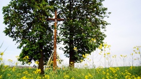 Krzyż w Chruślinie