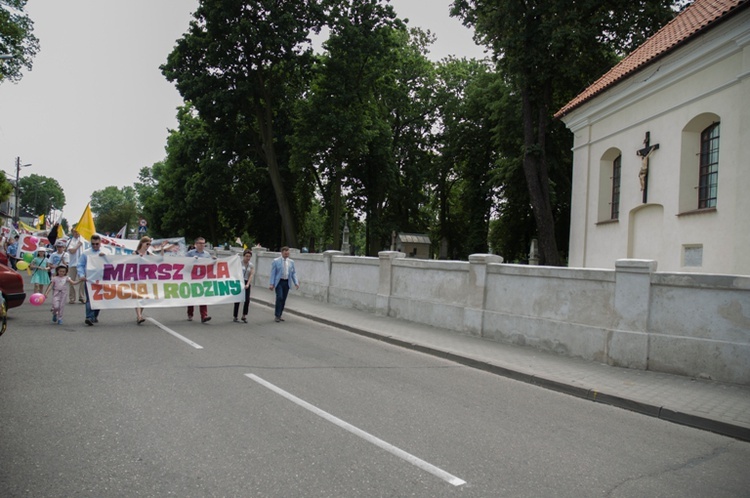 IV Marsz dla Życia i Rodziny w Skierniewicach