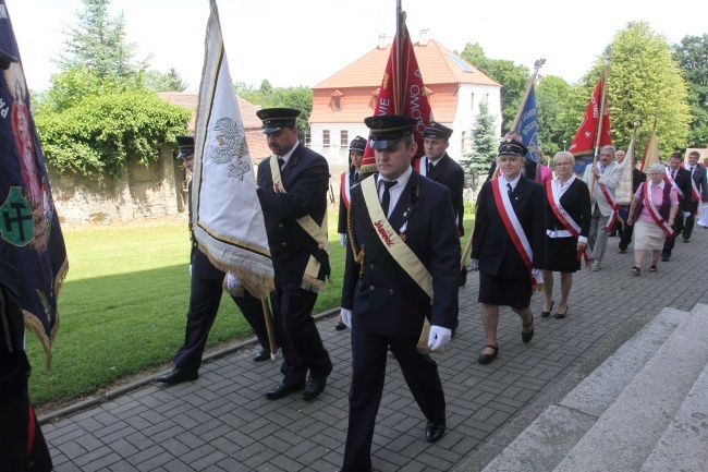 Solidarnie przy patronie