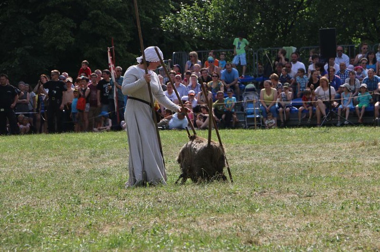 VI Zjazd Rycerstwa Chrześcijańskiego w Chorzowie - niedziela