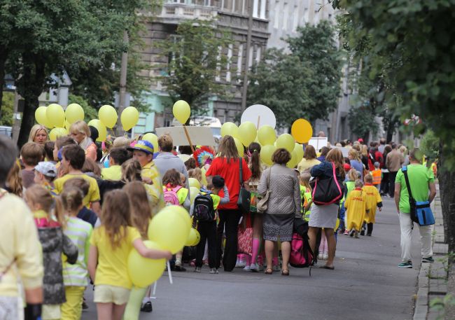 Krowód Wrażliwości w Gorzowie Wlkp.