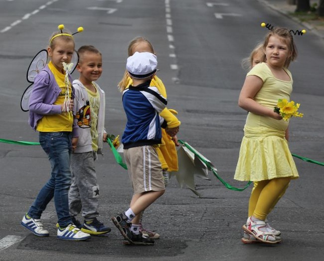 Krowód Wrażliwości w Gorzowie Wlkp.