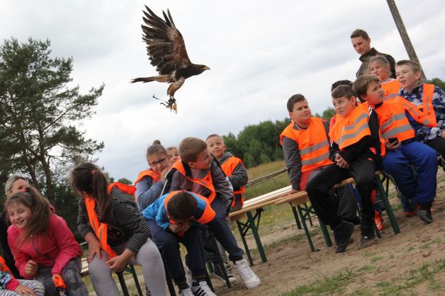 Pokaz ptaków drapeżnych w Polanowie