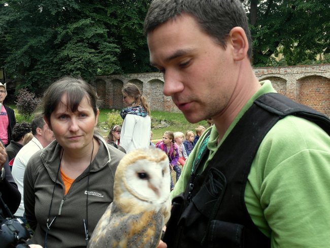 Pokaz sokolniczy na pielgrzymce rodzin 