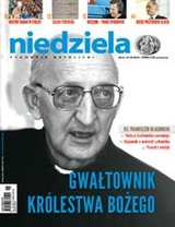 Niedziela 25/2015