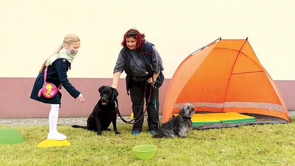  Pieski terapeutyczne są świetnymi partnerami do pracy i zabawy