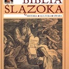 Rada Języka krytykuje Biblię Ślązoka