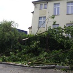 Skutki huraganu w Międzylesiu