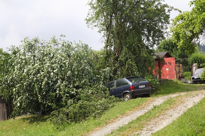 Skutki huraganu w Międzylesiu