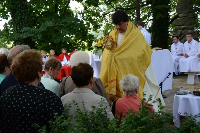 Dzień Chorych w Bryksach